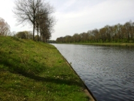 Vissen Twentekanaal
